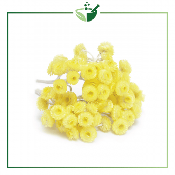 Helichrysum infused Oil